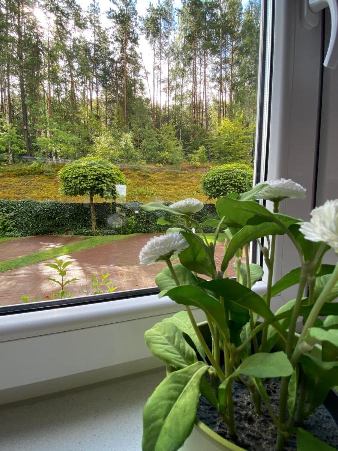 Lesny Apartament Ostrzyce Luaran gambar