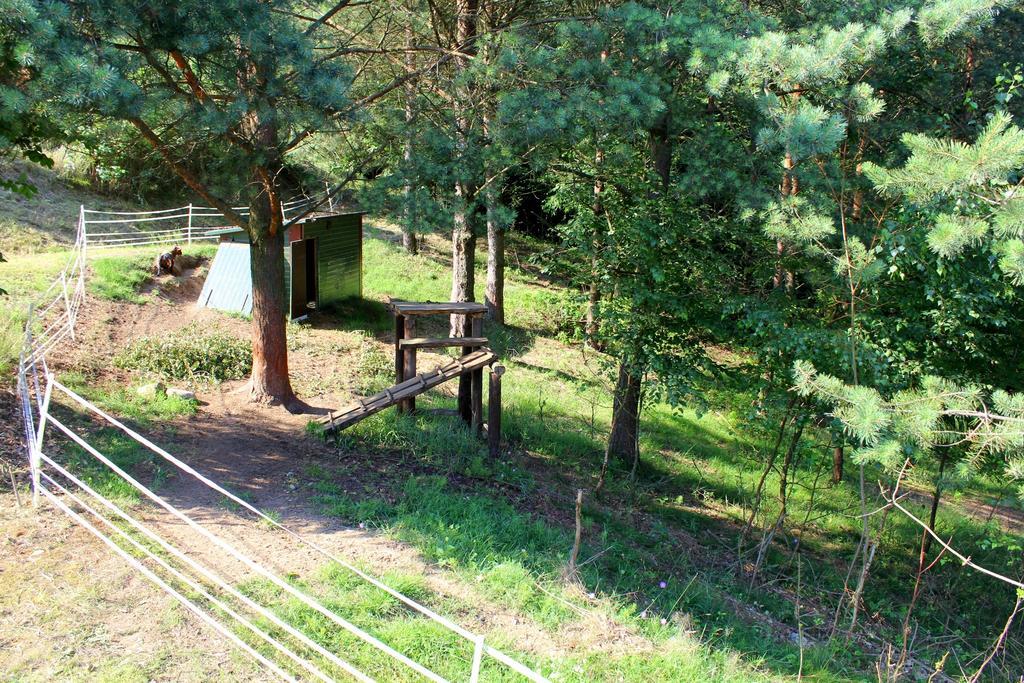 Lesny Apartament Ostrzyce Luaran gambar